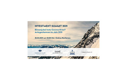 Investment Summit, Online-Roadshow